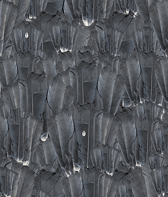 ���� KT-Exclusive Pure Home 15034