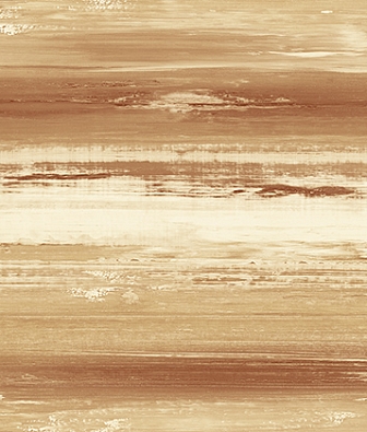 ���� KT-Exclusive Canvas ot70101