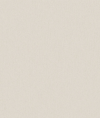 ���� Brewster Evolution 4 BWE04518