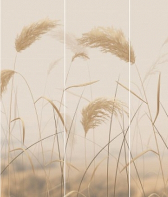 ������ Pinegin Grassy K203-COL1