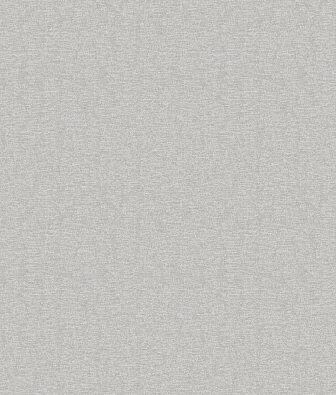 ���� Brewster Evolution 4 BWE04521