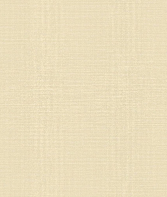  Trendsetter Roy RY0402