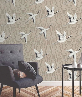 ���� KT-Exclusive Discovery DYW0013