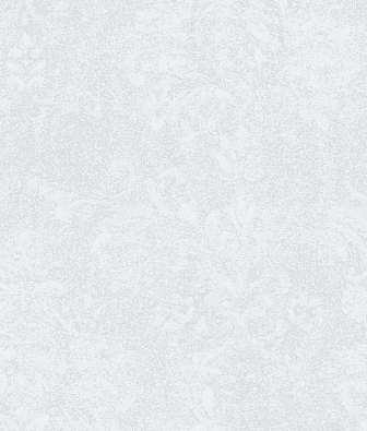 ���� Brewster Evolution 7 BWE071913