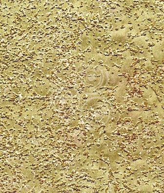 ���� Arlin Lava MB7