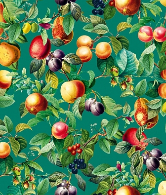 ���� Marburg Gloockler Pompoos Provence 35631