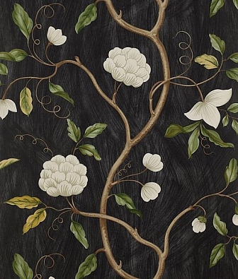 ���� Colefax and Fowler Jardine Florals 07949/06