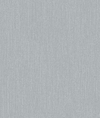 ���� Brewster Evolution 1 BWE01519