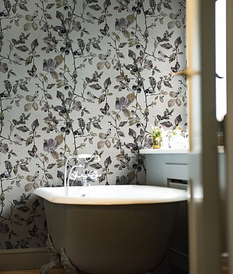 ���� Coordonne Naturae 9500031V