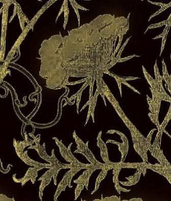 ���� Marburg Museo 46212