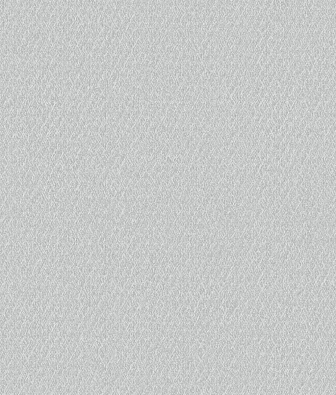 ���� Brewster Evolution 5 BWE05627