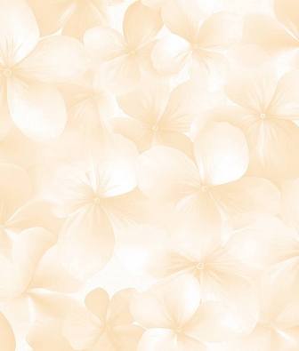 ���� Andrea Rossi Spectrum Boom 54483-4