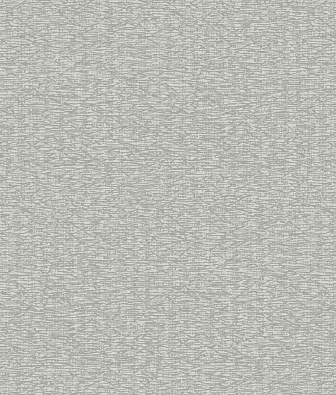 ���� Brewster Evolution 1 BWE01531