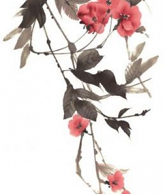 ���� Marburg Crush Motion 63482