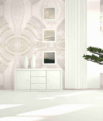 ���� Mayflower  Solaris FJ050128