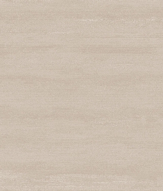 ���� Brewster Evolution 5 BWE05202