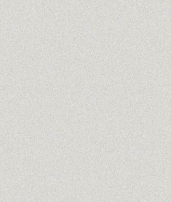 ���� Brewster Evolution 3 BWE03603