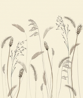 ���� Marburg Crush Motion 63460