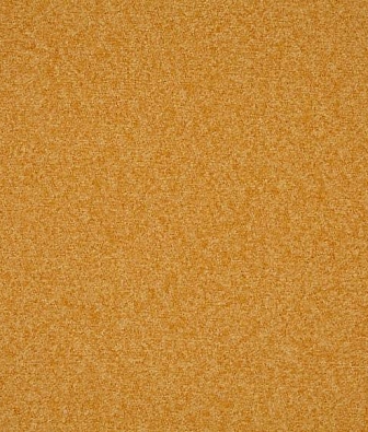 Scion Plains Ten 131834