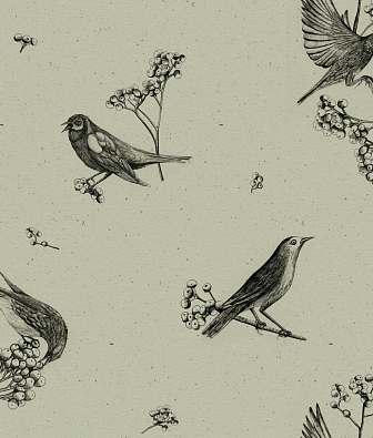 ���� Coordonne Naturae 9500073N