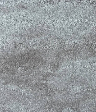 ���� Alessandro Allori Barbara RWA2601-6