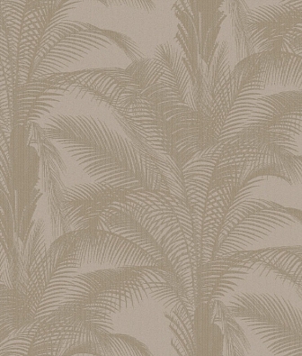 ���� Brewster Evolution 3 BWE03304