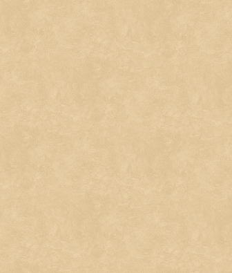 ���� WallTrend Aurora IMP17 002