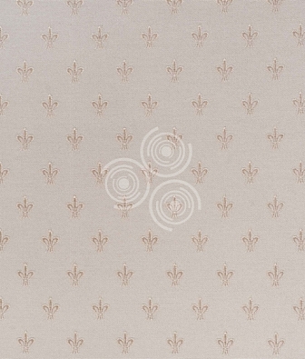 ���� ProSpero Olimpia OL1202