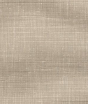 ���� Calcutta Pastels 516005