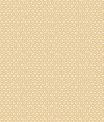  Aura Plain Resource vol.2 B1180401