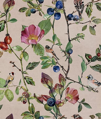 ���� Coordonne Naturae 9500032V