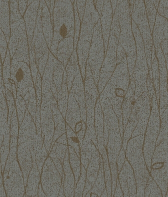 ���� Brewster Evolution 3 BWE03203