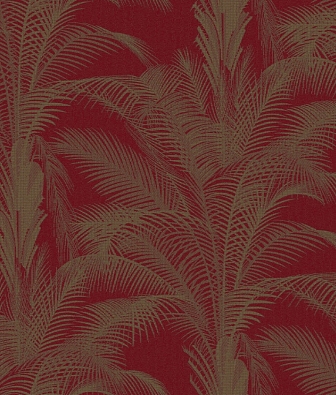 ���� Brewster Evolution 3 BWE03305