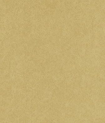 ���� KT-Exclusive Swatch FX91005