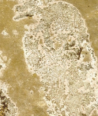 ���� Arlin Lava GB3