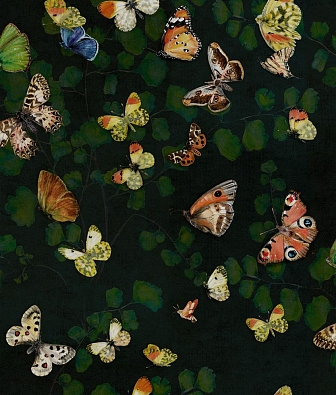 ���� Coordonne Naturae 9500050V