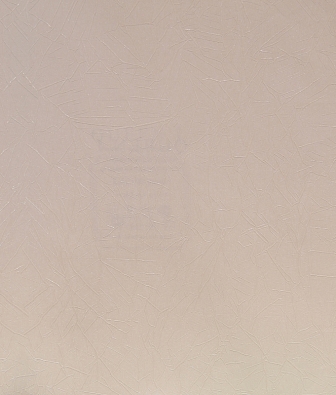 ���� Roberto Borzagi Queen I 90103-2