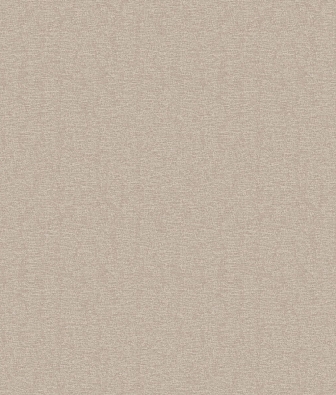 ���� Brewster Evolution 3 BWE03620