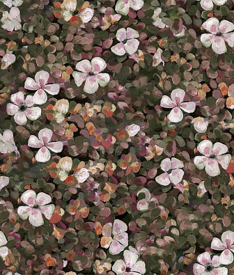 ���� Coordonne Naturae 9500003N