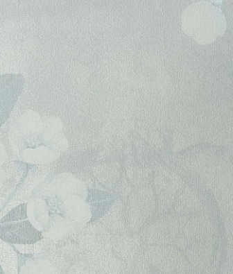 ���� Baoqili BM-1 BM-1-91338-10