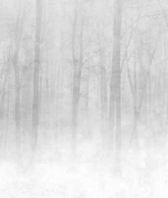  Sandberg Special Edition 622-18