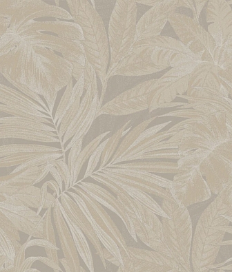 ���� Brewster Evolution 1 BWE01103