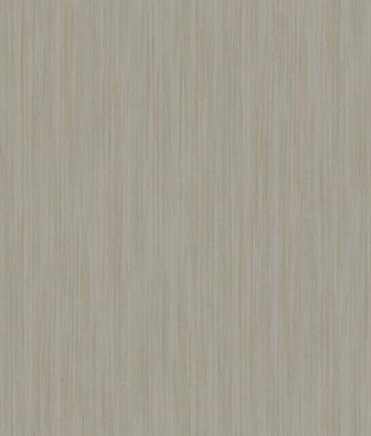  ProSpero Raw Elegance 343-345403
