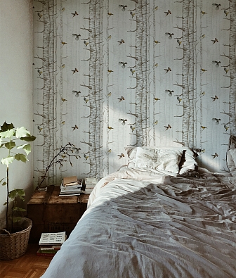 ���� Coordonne Naturae 9500041N