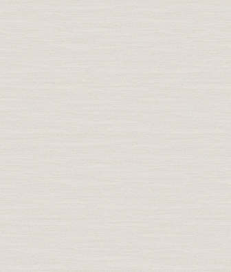 ���� Brewster Evolution 11 R25307Q