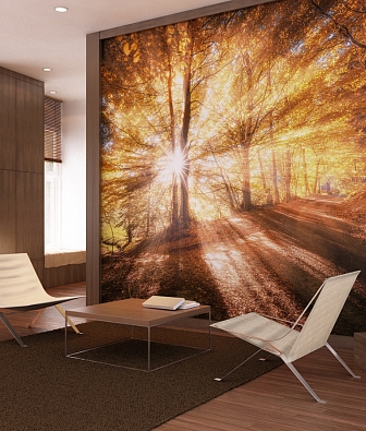 ���� Loymina Illusion DF 002