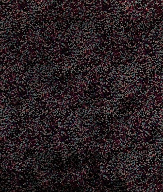 Osborne&Little Palazzo F7181-02