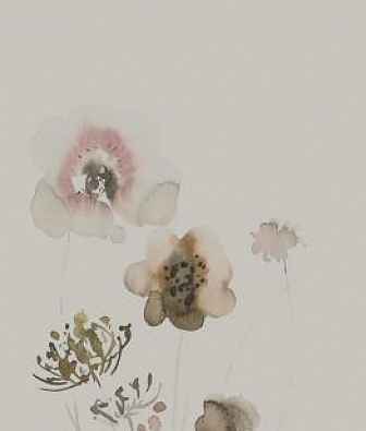 ���� Marburg Crush Motion 63496