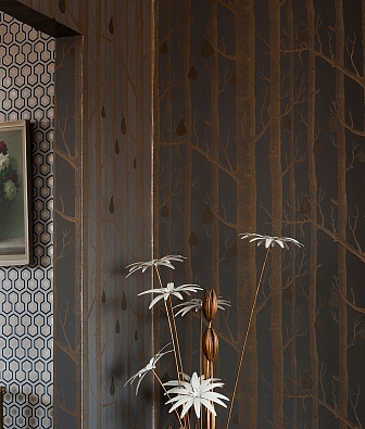  Cole & Son The Contemporary Collection 95/5032