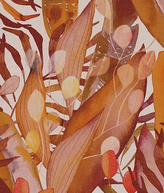 ���� Omexco Ode Ode6209